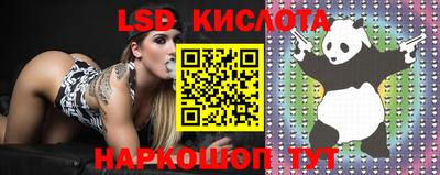 марки lsd Сланцы