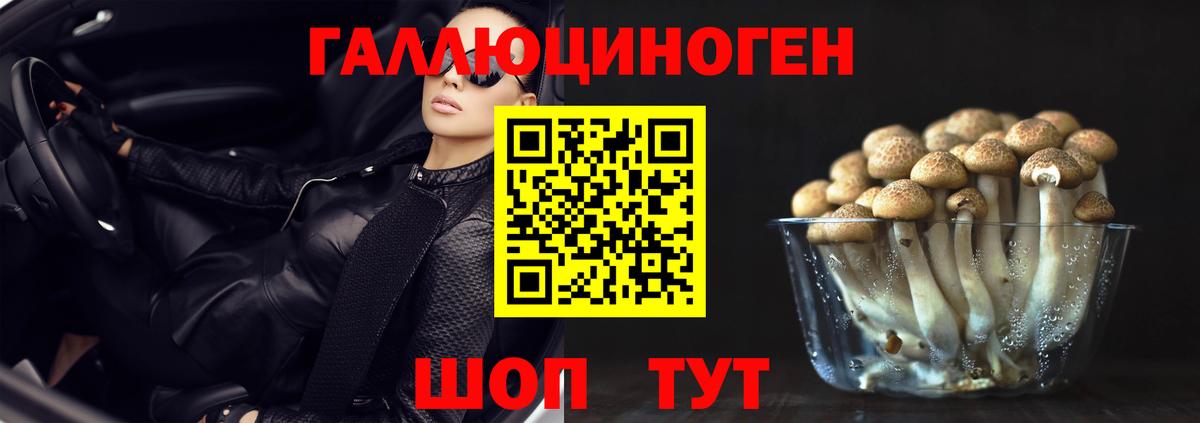 Галлюциногенные грибы Psilocybine cubensis  Вход с VPN  Галлюциногенные грибы мицелий  Нижнекамск 